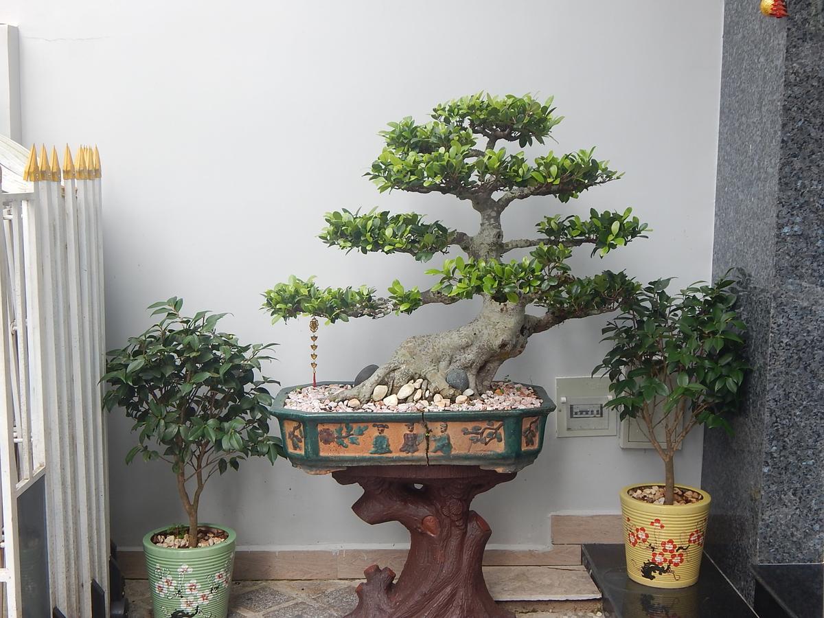 Dalat View Homestay المظهر الخارجي الصورة